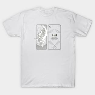 Meteorite Collector "Observed Fall: Kiel "Hammer Stone" Meteorite T-Shirt